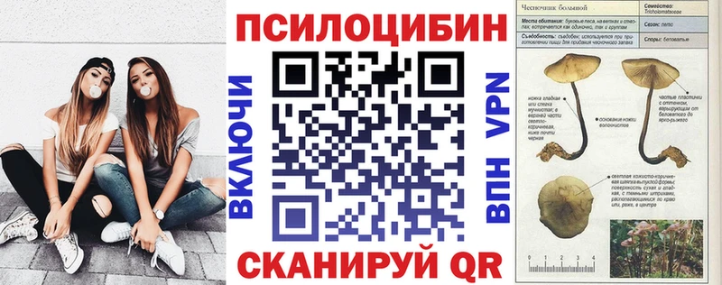 закладка  Щёлково  Псилоцибиновые грибы Cubensis 